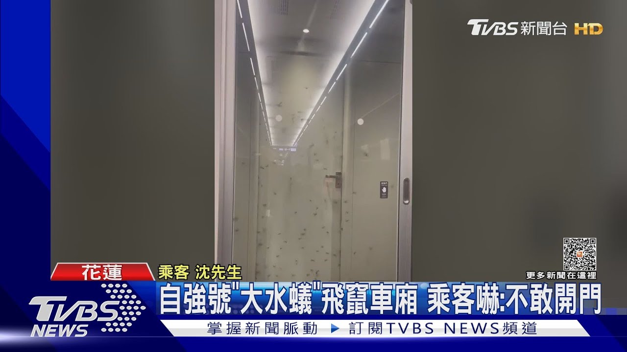 自強號「大水蟻」飛竄車廂 乘客嚇:不敢開門