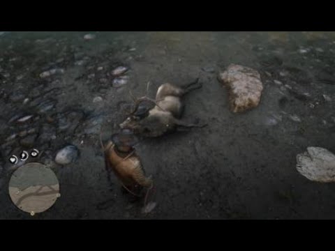 Red Dead Redemption 2: How to reave in killed animal in water