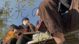 栄光の架橋/ゆず　高校生がカバーした