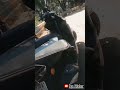 Tvs Ntorq Whatsapp Status Hp Rider ️ Short Like