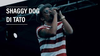 Download lagu Shaggy Dog - Di Tato Live at Cravier 2018 mp3 Download lagu Shaggy Dog - Di Tato Live at Cravier 2018 mp3