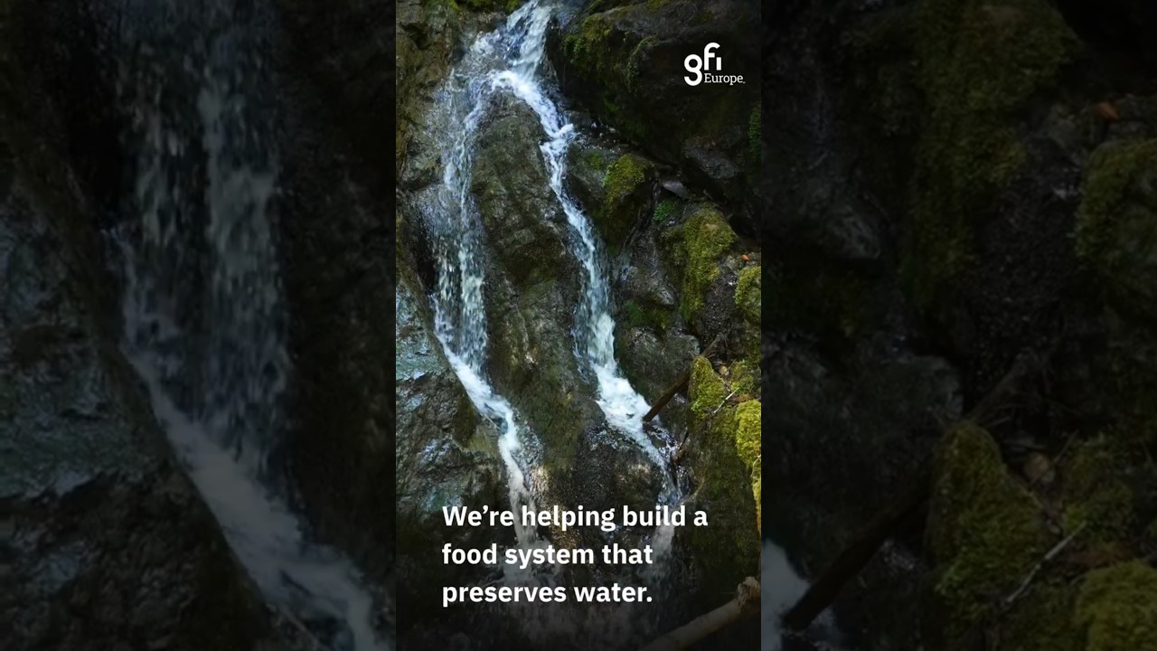 Protein diversification as a solution to preserve water