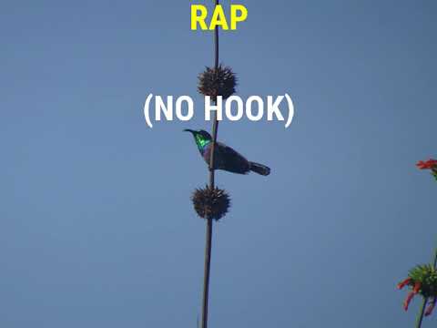 LMC - RAP ( No Hook)