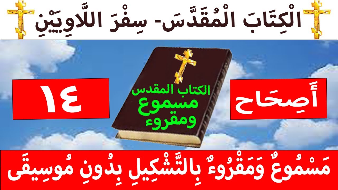 فيديو تفسير الكتاب المقدس | الكتاب المقدس رفيقي