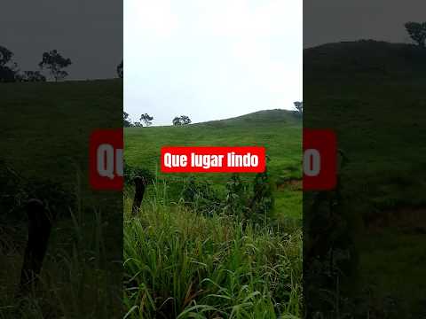 #Shorts #Natureza #Paisagem #Roça #Alagoas #VidaNoCampo