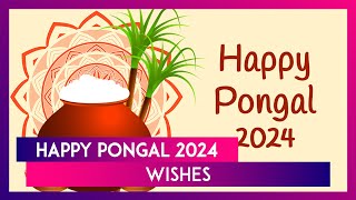 Pongal 2024 Wishes: WhatsApp Messages Greetings Qu