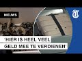 Grote oprolactie douane: '145 reptielen in één koffer!'