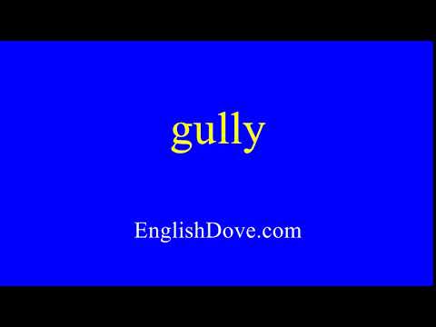 How to pronounce gully in American English.