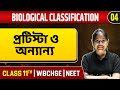 Understanding Protista: Classification, Structure, and Function