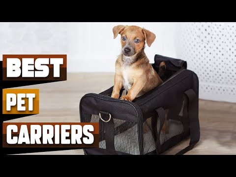 Best Pet Carrier In 2022 - Top 10 Pet Carriers Review