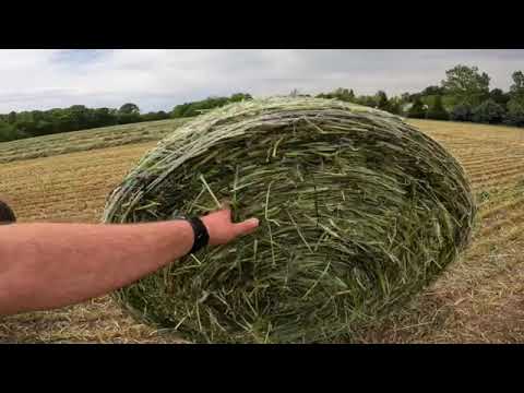 Triticale/Rye Baleage 2023