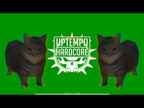 F. Noize & S-Kill - Pussycat (Uptempo)