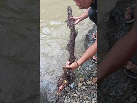 Siluman kuyang air mata seribu muncul lagi kedaratan ternyata isi pusaka botol aladin #shorts