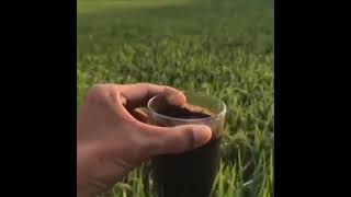 Download lagu Story WA || segelas kopi saat senjaaa mp3