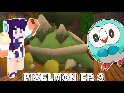 INSANE AMOUNT OF SHINES! NEW PINK NIDOQUEEN! | Pocket Pixels Pixelmon Minecraft