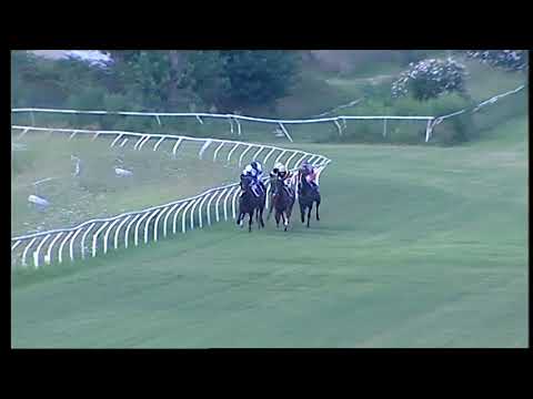 Napoli Galoppo 18/08/2021 - 3ª corsa