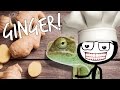 7 Rad Health Benefits of Ginger Root + How to Use Fresh Ginger