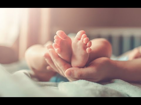 Nëse Zoti të sprovon me vdekjen e fëmijës! - Dr. Imam Ahmed Kalaja