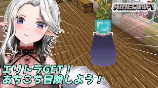 【#マインクラフト】I　CAN　FLY！！！！！【17】