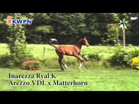 INAREZZA RYAL K by Arezzo VDL x Matterhorn