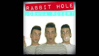 RABBIT HOLE - NATALIA KILLS (Cover by JOSHUA ROBERT) - EXPLICIT