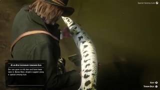 Red Dead Redemption 2- HOW TO CATCH HUGE LEGENDARY SWAMP FISH