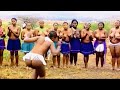 HER REED DANCE SHOCKED EVERYONE VIRGIN REED DANCING