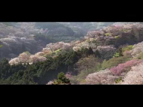 Prière de Samira Said