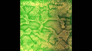 Zackey Force Funk Glass Tear Groove song