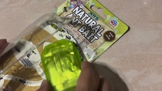 How to Get Rid of Ants Safely