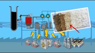 Fibria’s pulp production process - Short version