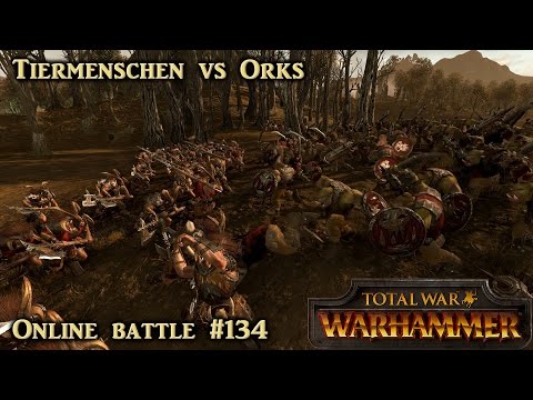 Kurzes Kämpfen - Tiermenschen vs Orks - Total War: Warhammer Online #134