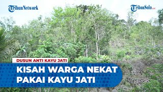 Kisah Warga Dusun Poro yang Nekat Pakai Kayu Jati, Datang Musibah Mengerikan di Luar Nalar