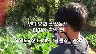 광명 도덕산 주말농장 리뷰2편