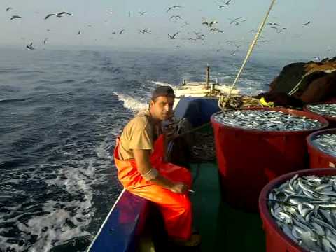 Ribarski brod Neverin -Fishing vessel Neverin