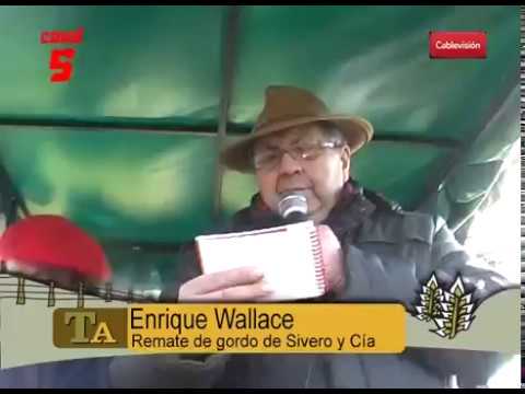 REMATE DE GORDO Y PRECIOS DE SIVERO Y CIA