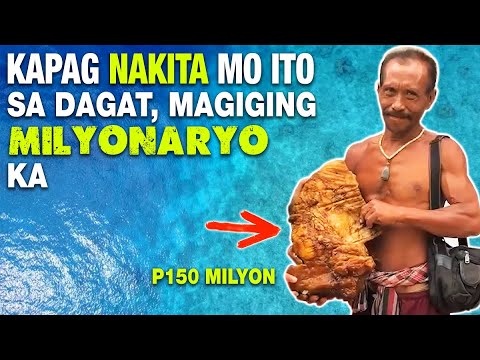 Suka Ng Balyena, Naibenta Ng 150 Million, Mas Mahal Pa Kaysa Ginto