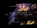 Leona Lewis - Bleeding Love (X-Factor USA 2013 ...
