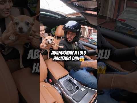 Abandonan a Lulu en el servicio de DiDi 🐶😱 #didi #motovlog #chisme #alerta #viral #motos #bmw340