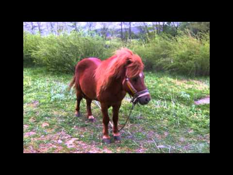 Sasca Montana. Part 1 Foto Trip Sasca Montana - Romania