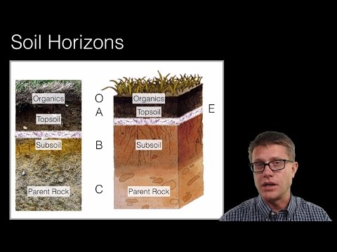 Soil and Soil Dynamics