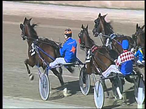 Trotto 24/09/2015 - 3° corsa