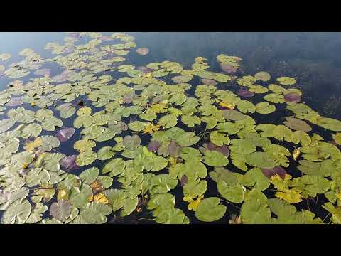 Plavsko jezero - BEGOV KAMP
