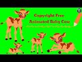 Copyright Free Animated Baby Cow No Copyright Green Screen Animated Cow Cub Animated Calf Animals