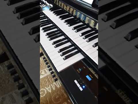 órgão ax100 série Gold a apresentação😍