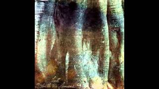 Startle the Heavens - Giant Trees/Repose