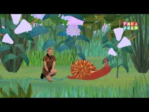 Animapaka II: Caracol (Cap. 9) - Canal Pakapaka