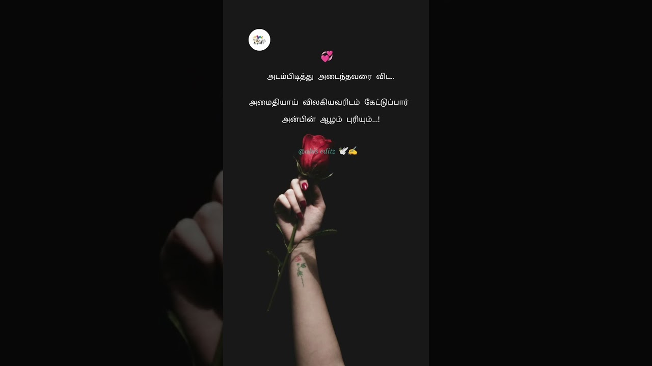 #அமைதியாய்💞 விலகியவரிடம் கேட்டுப்பார் அன்பின் ஆழம் புரியும்#dailyshorts#sadquotes#abis editz#quotes