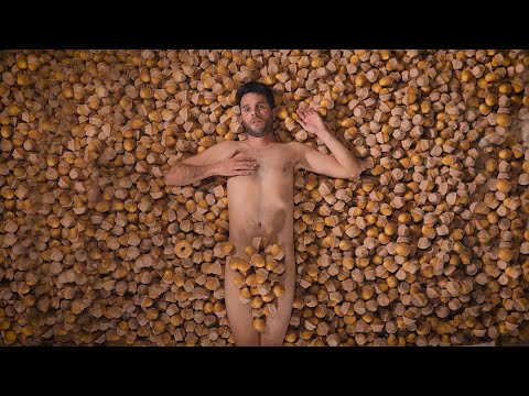 PUNK SAILOR, EL RENO RENARDO, GIGATRÓN, SLOTH - El Madalenas