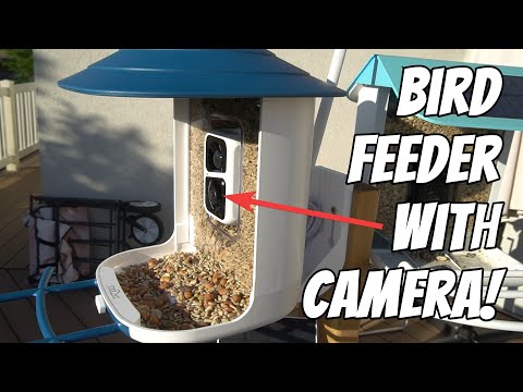 Watch birds 24/7 with this Dzees Smart Bird Feeder with Camera